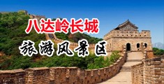 www高潮网站久久中国北京-八达岭长城旅游风景区